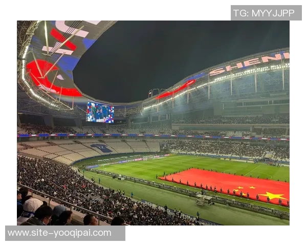 中超第29轮精彩对决深圳新鹏城迎战上海申花10月31日20点不见不散